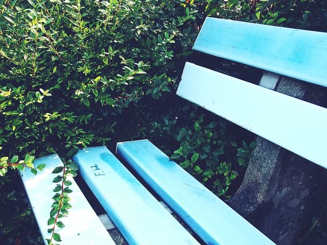 通过精心的 通过精心的