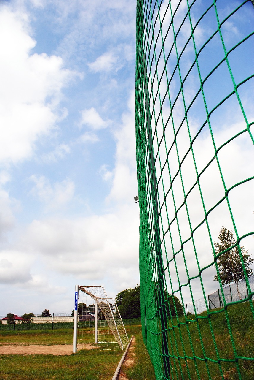 广东队的需 广东队的需